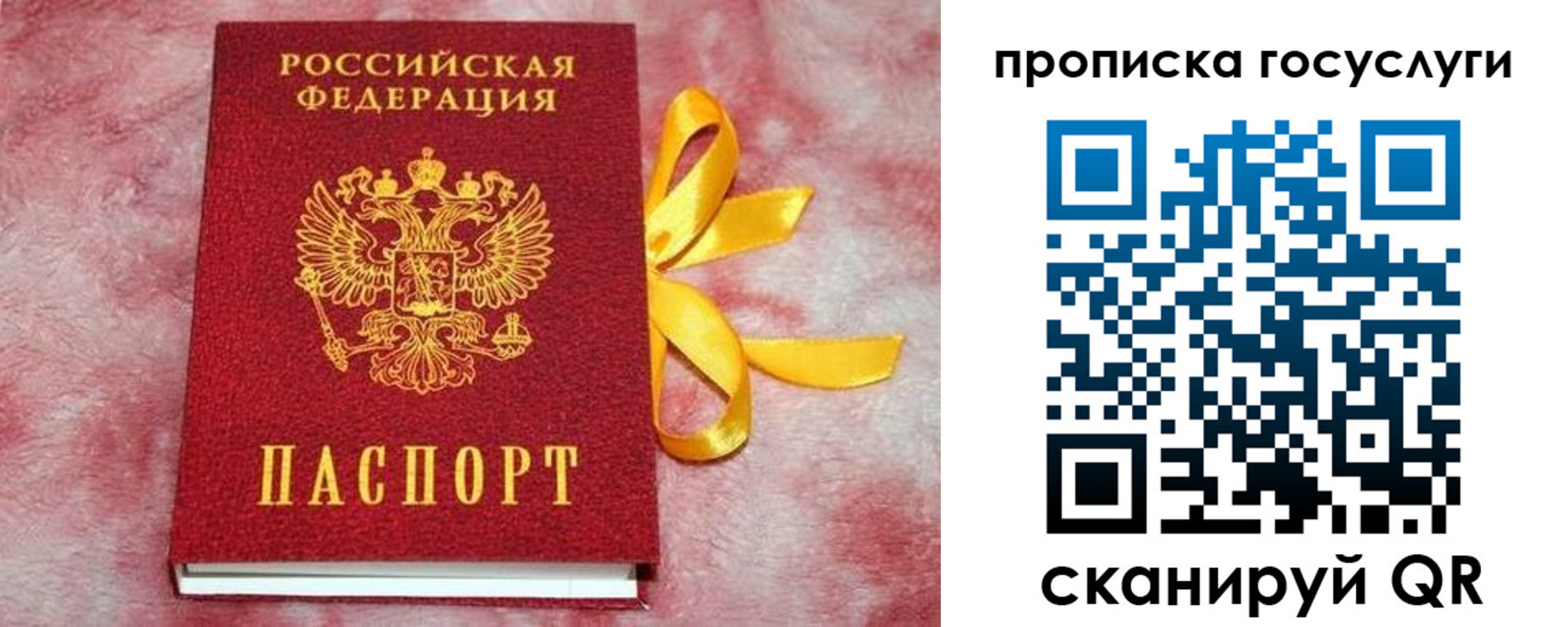 прописка законно в Петровск-Забайкальском
